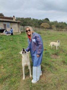İSTANBUL (AA) – CarrefourSA, Hayvanların Yaşam Hakları Konfederasyonu'yla (HayKonfed) gerçekleştirdiği