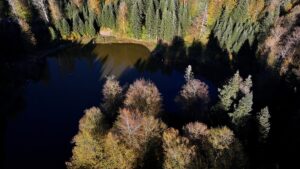 DÜZCE (AA) – Düzce'de volkanik çöküntüyle oluşmuş Torkul Göleti'ne gelen