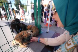 DÜZCE (AA) – Düzce'de 4 Ekim Hayvanları Koruma Günü dolayısıyla