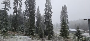 DÜZCE/BOLU (AA) – Düzce ve Bolu'nun yüksek kesimlerine kar yağdı.