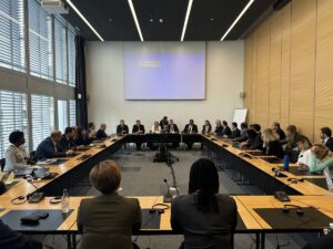 CENEVRE (AA) – Türkiye Büyük Millet Meclisindeki (TBMM) engelli Milletvekili