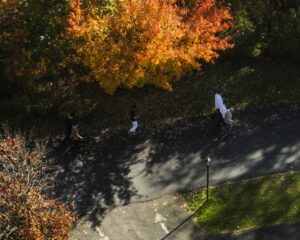 ELDE EDİLEN YENİ GÖRÜNTÜLERE İLİŞKİN DETAYLAR EKLENDİ