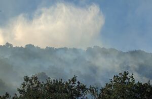 İZMİR (AA) – İzmir'in Ödemiş ilçesinde tarım arazisinde çıkan yangın