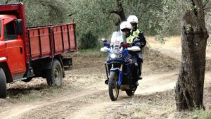 BALIKESİR (AA) – Türkiye'nin zeytinyağı üretiminin yüzde 10'unun karşılandığı Balıkesir'de