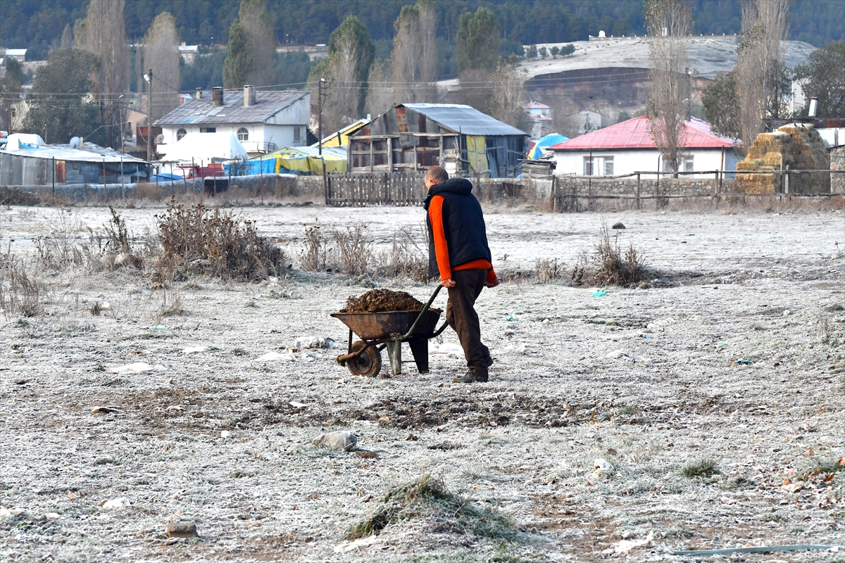 Kars ile Ardahan'da soğuk hava ve kırağı etkili oldu
