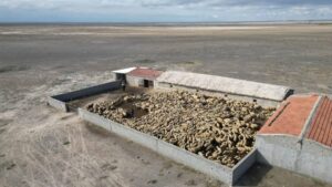 KONYA (AA) – Konya'nın Ereğli ilçesinde çalınan 1200 küçükbaş hayvandan