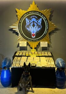 - Uyuşturucu madde, balık dolu varillerin içinde bulundu