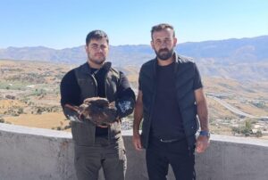 ŞIRNAK (AA) – Şırnak'ın Cizre ilçesinde bir aracın içinde bitkin