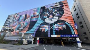 ENSCHEDE (AA) – SÜHA GÜR – Hollanda'nın doğusunda yer alan