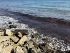 TEKİRDAĞ (AA) – Tekirdağ'da kuvvetli rüzgar nedeniyle sahilin bir kısmı