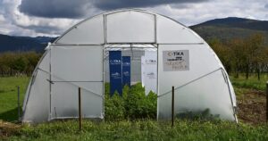 PODGORİTSA (AA) – Türk İşbirliği ve Koordinasyon Ajansı Başkanlığı (TİKA),