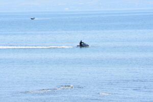 VAN (AA) – Van'da, 12 gündür kayıp üniversite öğrencisi 21