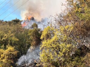 ANTALYA (AA) – Antalya'nın Kumluca ilçesinde çıkan orman yangınına müdahale