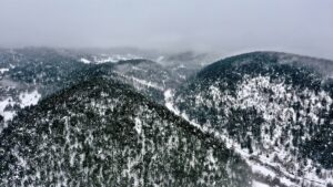 BOLU (AA) – Bolu'da karla kaplı arazilere, yılkı atlarının beslenmesi