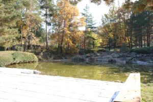 KIRŞEHİR (AA) – Kırşehir'in Kaman ilçesine bağlı Çağırkan köyünde yer