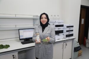 - Dut yaprağı ve ipek kozasından yapılan kaplama sayesinde üzüm,