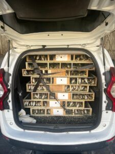 ANKARA (AA) – Ticaret Bakanlığına bağlı Gümrük Muhafaza ekiplerince Kilis'te