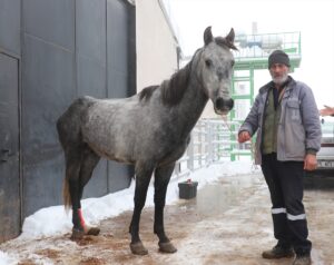 ERZURUM (AA) – Erzurum'da sokak ortasında durduğu için sosyal medyada