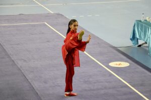 SAKARYA (AA) – Geleneksel Wushu Türkiye Şampiyonası, Sakarya'da başladı. Türkiye