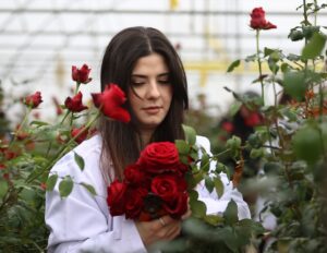 SAMSUN (AA) – Ondokuz Mayıs Üniversitesi (OMÜ) Ziraat Fakültesi Bahçe