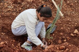 ADANA (AA) – Adana, Mersin, Hatay ve Osmaniye'de 11 Kasım