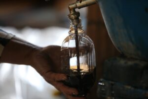 KIRKLARELİ (AA) – ÖZGÜN TİRAN – Kırklareli'nde Yıldız Dağları eteklerindeki