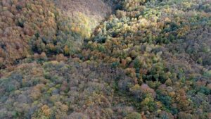 KIRKLARELİ (AA) – Trakya'nın Karadeniz kıyılarında yer alan, meşe ve