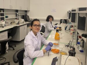 İSTANBUL (AA) – İstanbul Bilgi Üniversitesi öğrencileri Zeynep Gezer ve