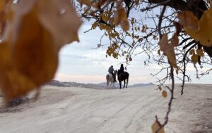 NEVŞEHİR (AA) – Kapadokya'da sonbaharda sararan yaprakların peribacalarıyla renk uyumu
