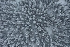 KASTAMONU (AA) – Kar yağışının ardından Küre Dağları beyaza büründü.