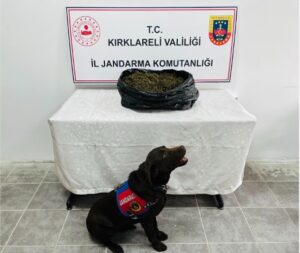 KIRKLARELİ (AA) – Kırklareli'nde düzenlenen uyuşturucu operasyonunda 4 şüpheli gözaltına