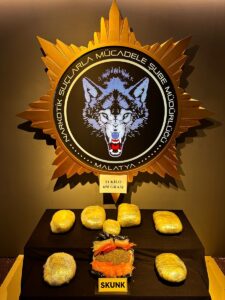 MALATYA (AA) – Malatya'da 11 kilo 650 gram skunk ele