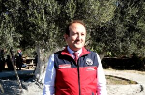 MERSİN (AA) – Mersin'in Mut ilçesinde anıt ağaç olarak tescillenen