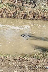 MERSİN (AA) – Mersin'in Tarsus ilçesinde, sulama kanalına düşmüş halde