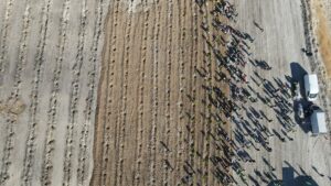 MUĞLA (AA) – Yeniköy Kemerköy Enerji, Muğla'nın Milas ilçesinde 511