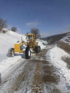 RİZE (AA) – Rize, Giresun, Artvin, Trabzon, Gümüşhane, Bayburt ve