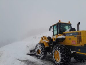 GİRESUN (AA) – Giresun, Rize, Artvin, Ordu, Bayburt ve Gümüşhane'de