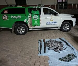 ŞANLIURFA (AA) – Şanlıurfa'nın Ceylanpınar ilçesinde kaçak avlandığı tespit edilen