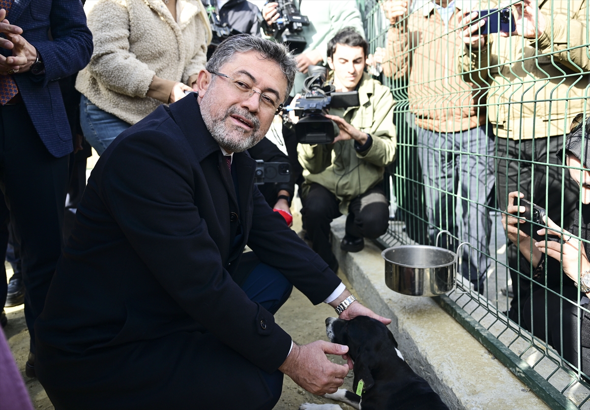 Tarım ve Orman Bakanı Yumaklı, “Zeytin” adı verilen köpeği sahiplendi