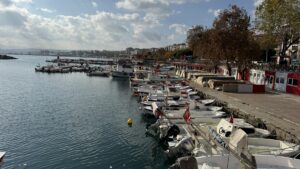 TEKİRDAĞ (AA) – Tekirdağ'da 5 gündür devam eden poyrazın etkisini