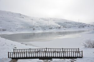 TOKAT (AA) – Tokat’ın Başçiftlik ilçesinde bulunan Üçoluk Göleti’nin yüzeyi,