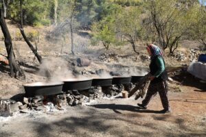 - Antalya'nın Akseki ilçesinde 1500-2 bin rakımlı dağlardan toplanan andız