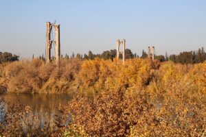 DEYRİZOR (AA) – ÖMER KOPARAN/ZEYNEP KATRE ORAN – Anadolu Ajansı