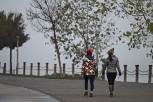 ADANA (AA) – Adana'da etkili olan sis, görüş mesafesini düşürdü.