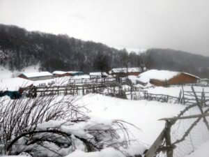 AMASYA (AA) – Amasya'nın yüksek kesimlerinde kar yağışı etkili oldu.