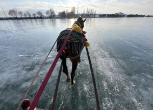 ARDAHAN (AA) – Ardahanlı kızakçı, turistleri rahatça gezdirebilmek için buzla