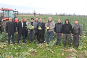 - Bölgede ağustos ve eylül aylarında yaşanan aşırı yağışların rekolteyi