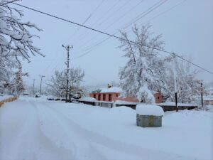 BİNGÖL (AA) – Bingöl'de kar yağışı nedeniyle 191 yerleşim yerinin