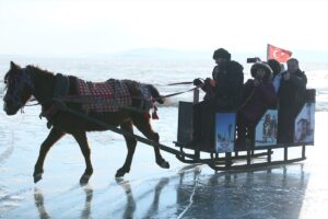 KARS (AA) – CÜNEYT ÇELİK – Kars ile Ardahan sınırında
