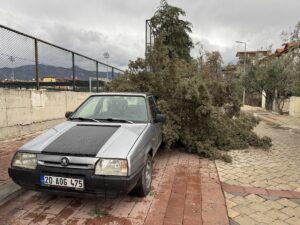 DENİZLİ (AA) – Denizli'nin Merkezefendi ilçesinde fırtına hayatı olumsuz etkiledi.